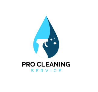 Pro Cleaning Service